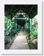 SelvaVerde - 001 * Because of the potential for frequent rains, the Selva Verde lodge has covered walkways that connect everything * Because of the potential for frequent rains, the Selva Verde lodge has covered walkways that connect everything